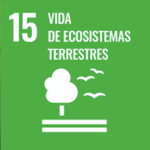 15 Vida de Ecosistemas Terrestres ODS